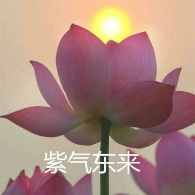 720手游盒子下载